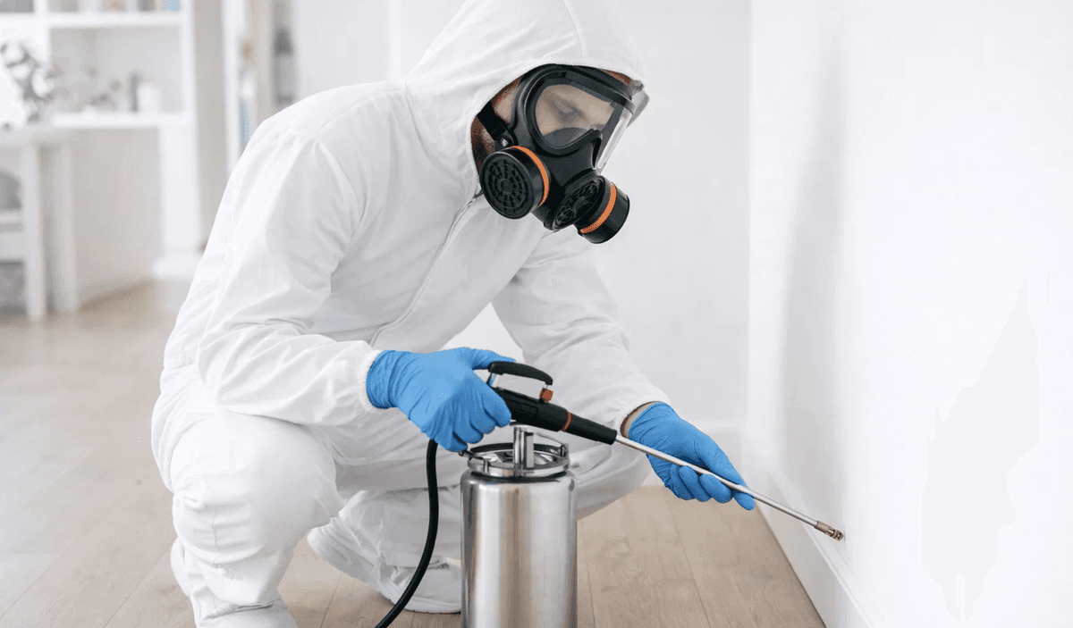 Technicien expert en dératisation et désinsectisation en action à Paris