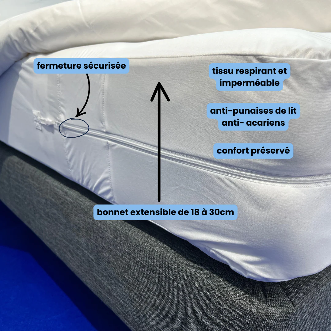 Housse de protection anti-punaises de lit